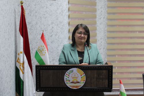 ТЕНДЕНЦИЯ РАЗВИТИЯ ПРЕДПРИНИМАТЕЛЬСТВА В РЕСПУБЛИКЕ ТАДЖИКИСТАН ЗА ПОСЛЕДНЕЕ ДЕСЯТИЛЕТИЕ